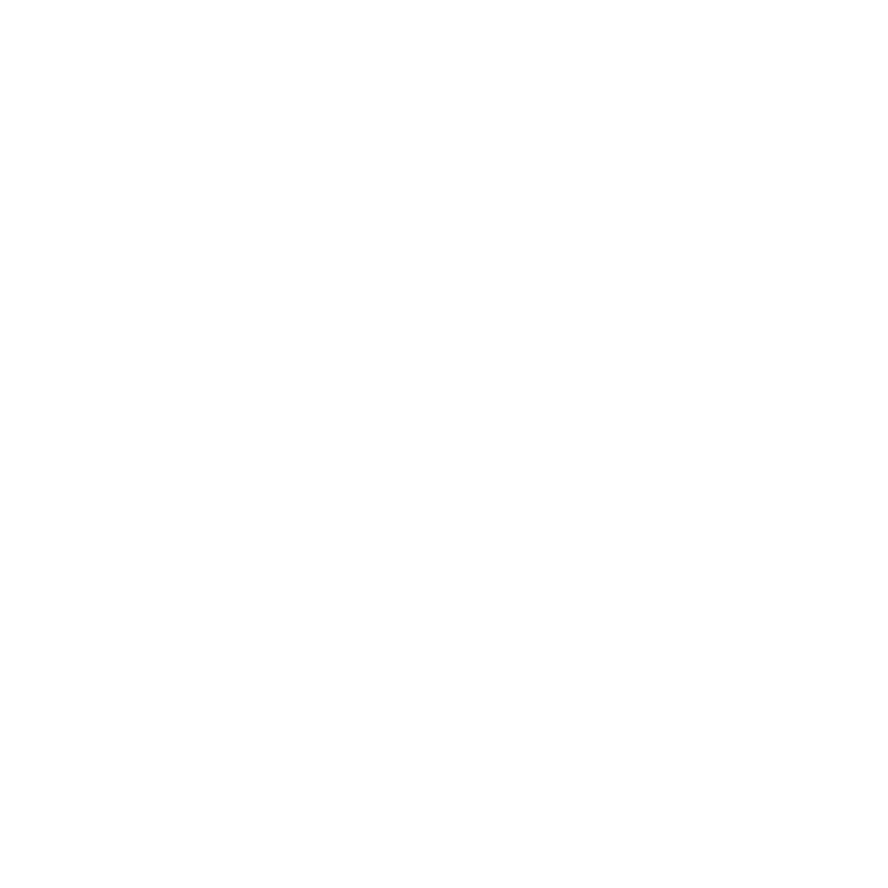 Peak Networks